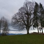 Qigong und die Kunst, loszulassen